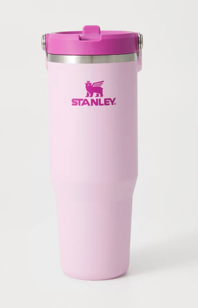 30 oz Stanley  Cup with Straw and Stainless Steel Sports Water Bottle Hot and Cold Drinks